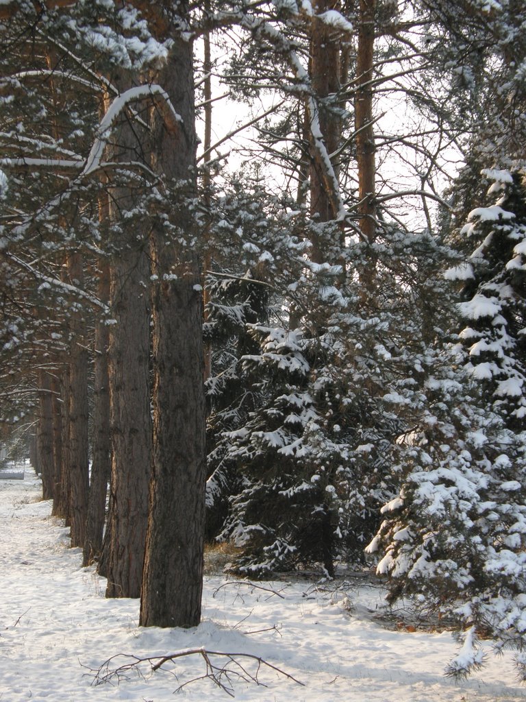 Zima v Opavě, 6 (Winter in Opava), Czech Republic by MAPP HUDRANS