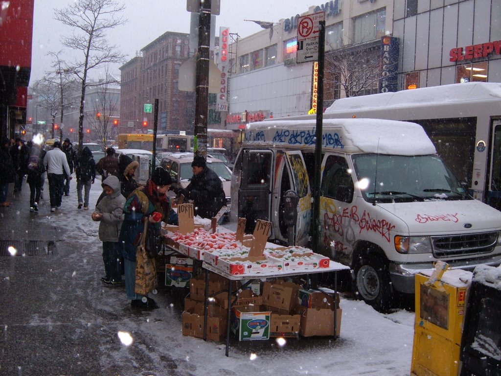 Snowy market - winter 2007 by brettaugust