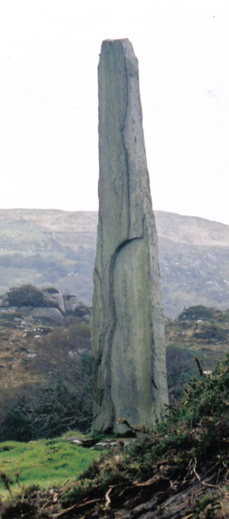 Ballycrovane Ogham Stone by dougf