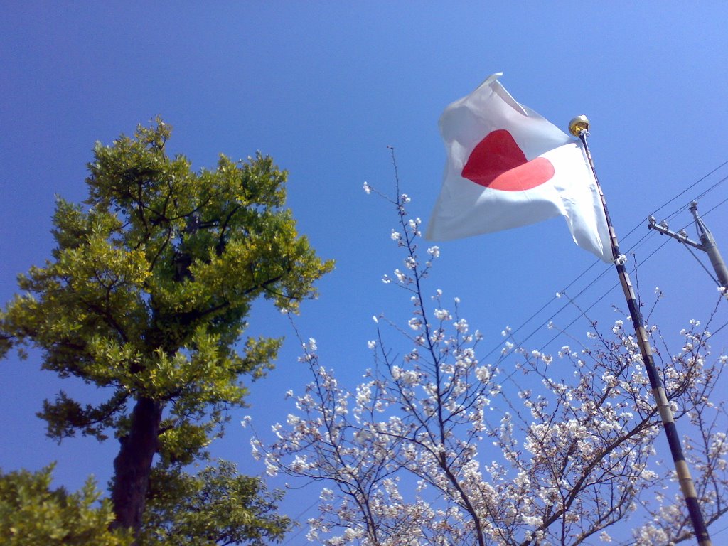 清水工業高校の正門の桜 by Yasunobu HIRAOKA