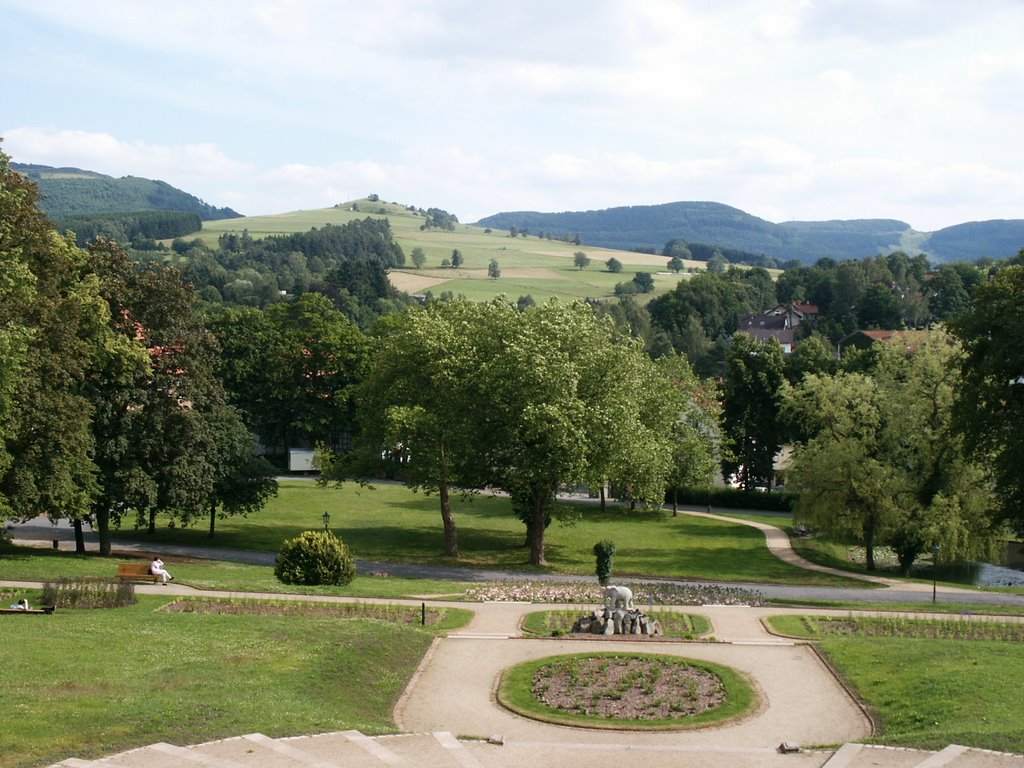 Blick vom Schlosspark zum Rodenbacher Küppel by Friwebi