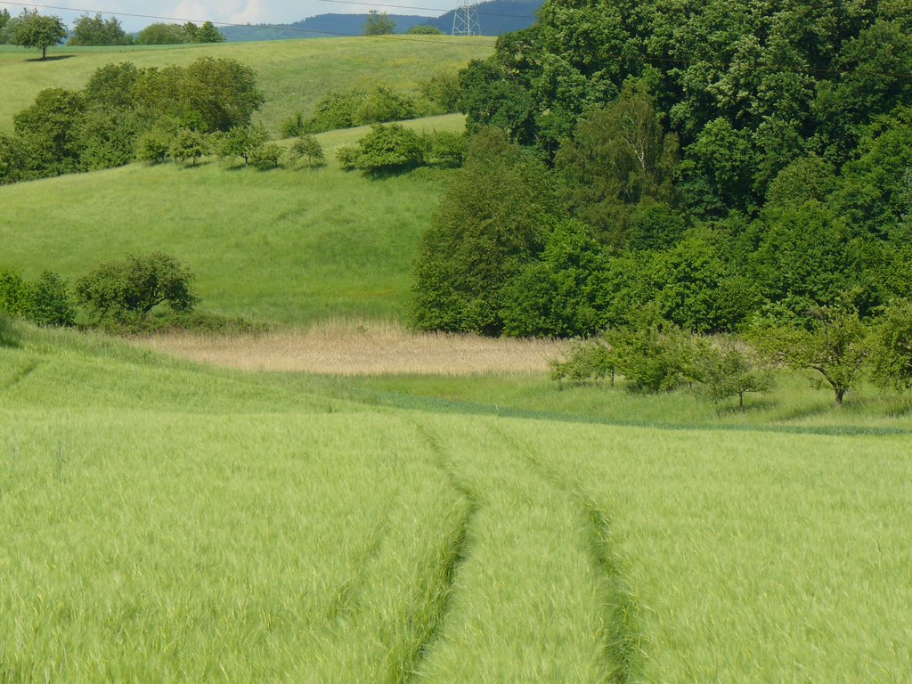 In der Erbach bei Mörlenbach by Armin Silber