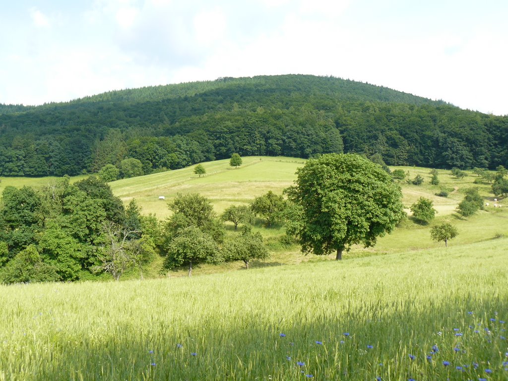 Seitental bei Steinbach by Armin Silber