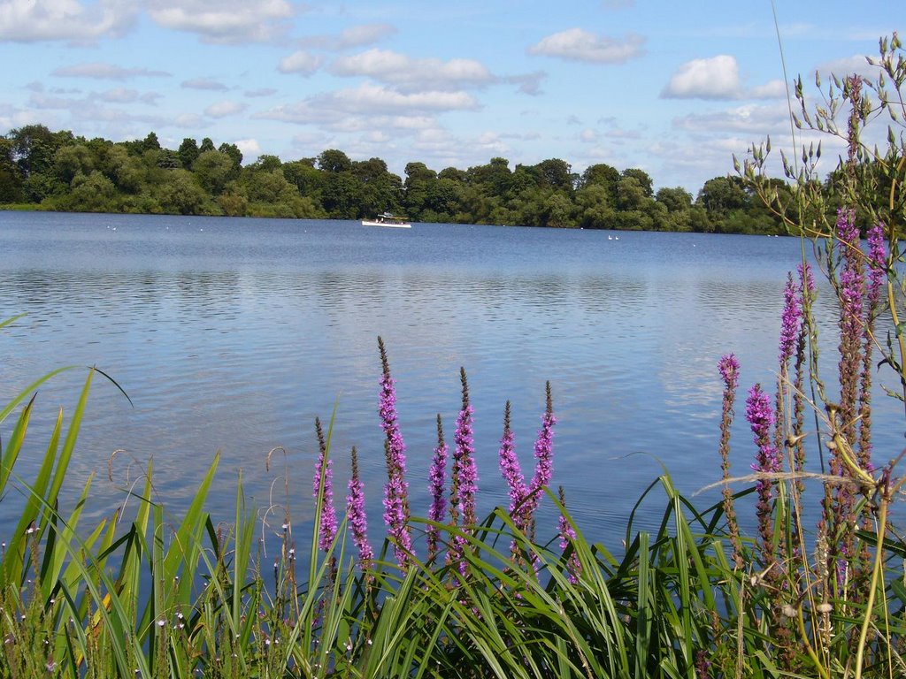 Ellesmere UK by Yanat