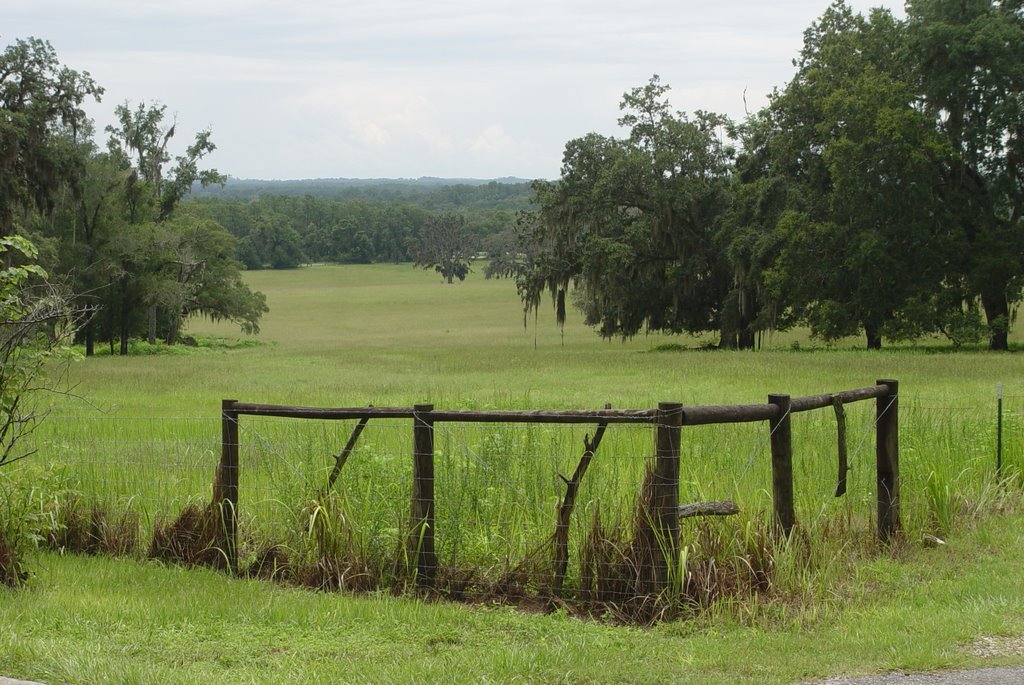 Unspoiled land, looking south toward Brooksville from Chinegut Hill (7-2009) by Ken Badgley