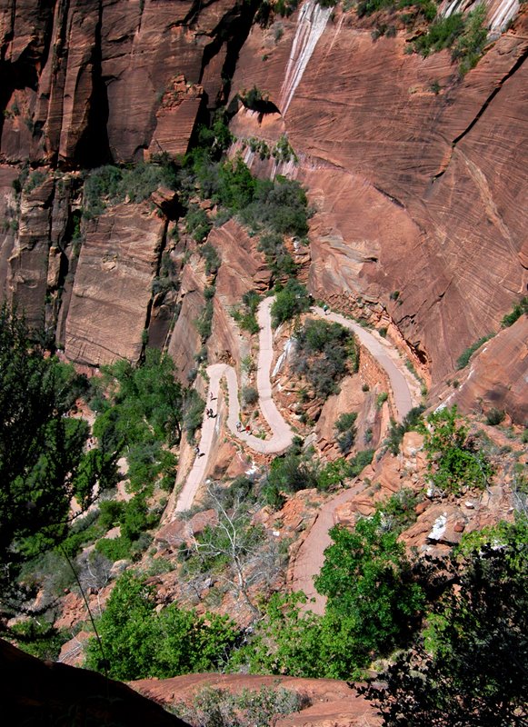 Zion NP West Rim Trail To Angles Landing by Greg Sapp