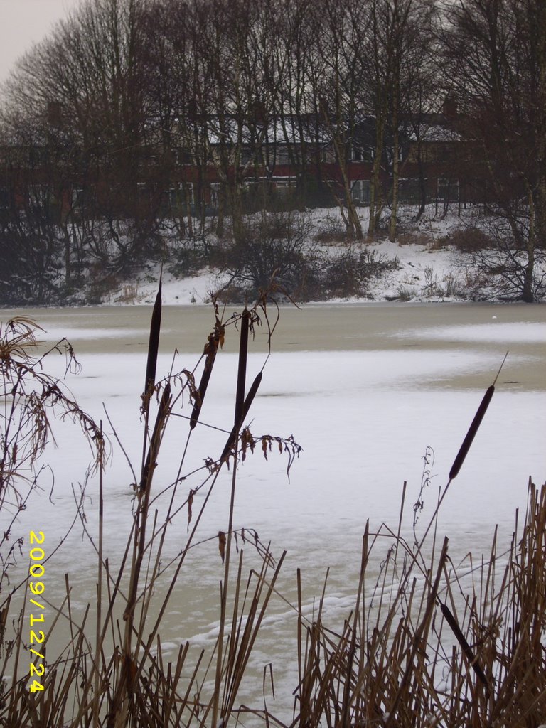 Myrtle Lodges, Boarshaw, Middleton, Lancs by annemargaret