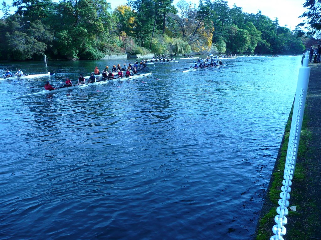 Sculling on the gorge water way by derek mrsir