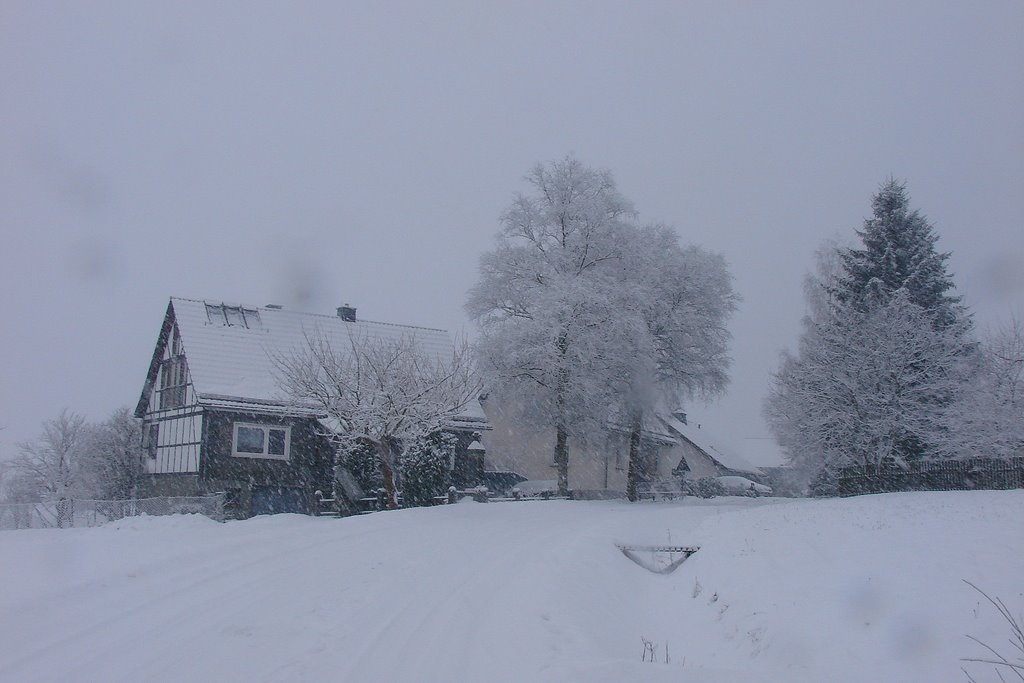 Müsse at Christmas 2009 by Andreas Fischer (Lintorf)