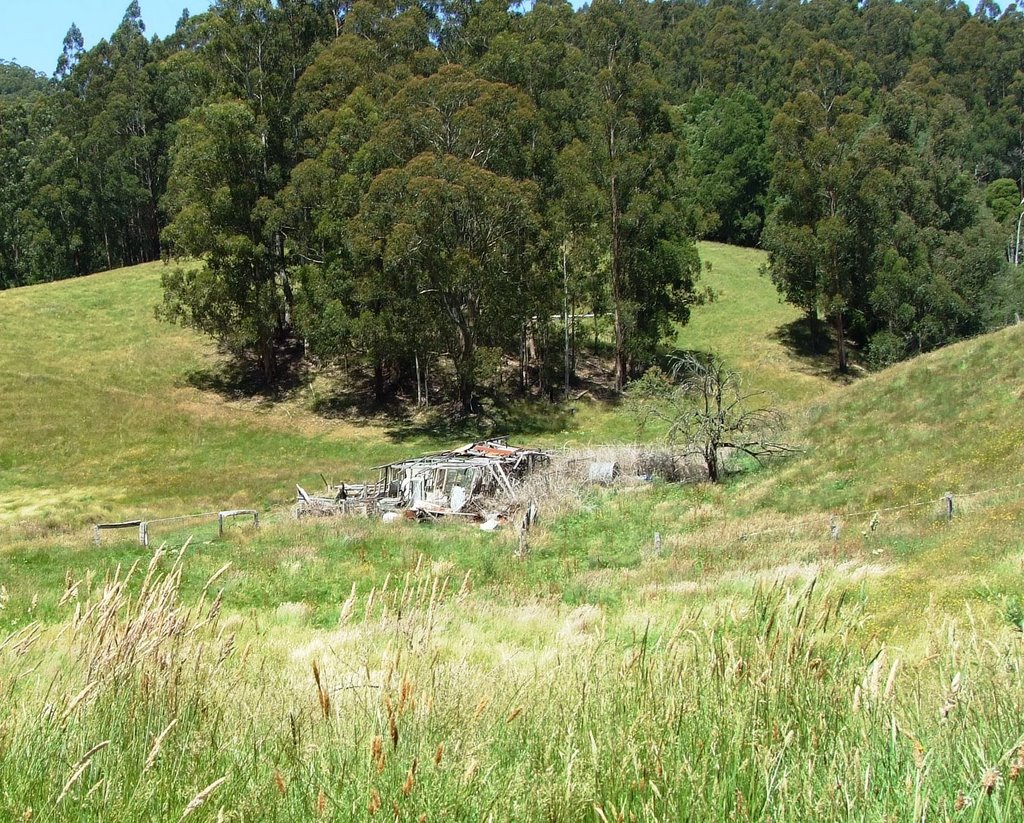 Delapidated shed - Morwell River Rd by mosles