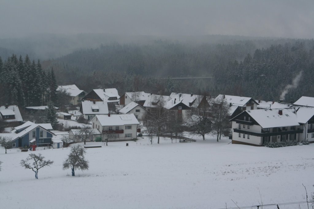 Lauterbad ( Forêt Noire ) by CocoBiz