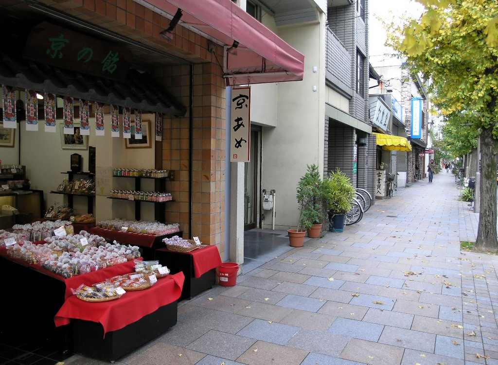 Shopping strip, Teramachi Dori, Kyoto by Andrew Royle