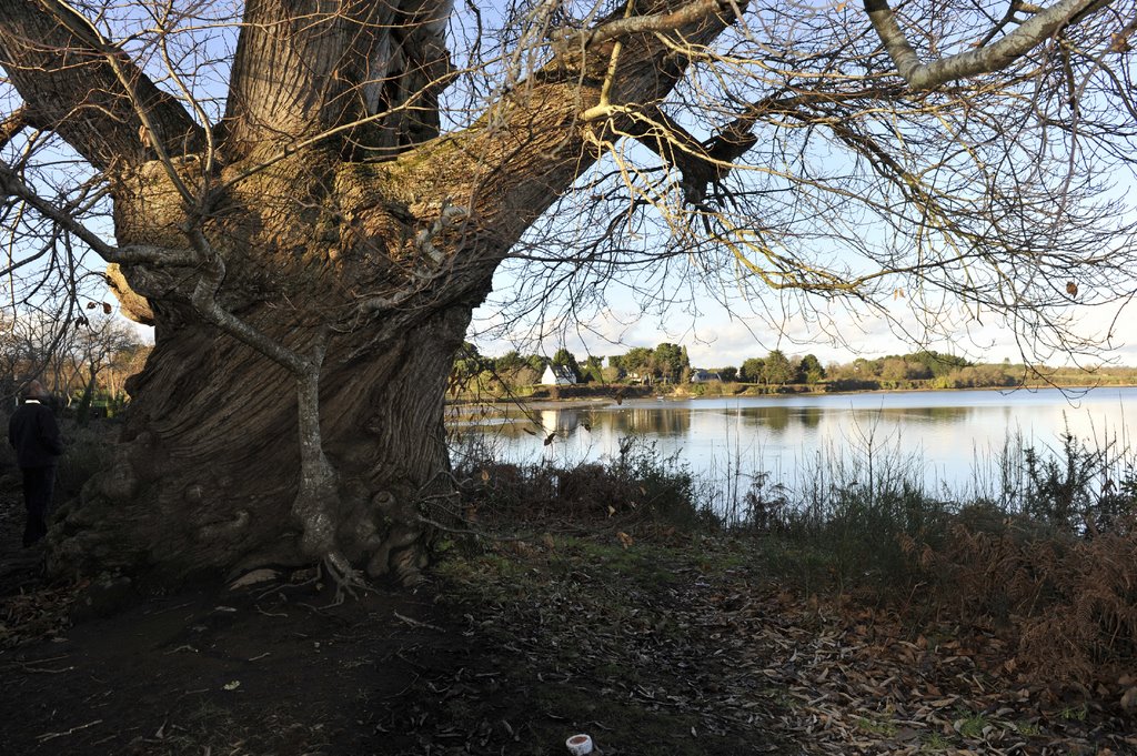 Golfe du Morbihan : Port Blanc by Jean HIBLOT