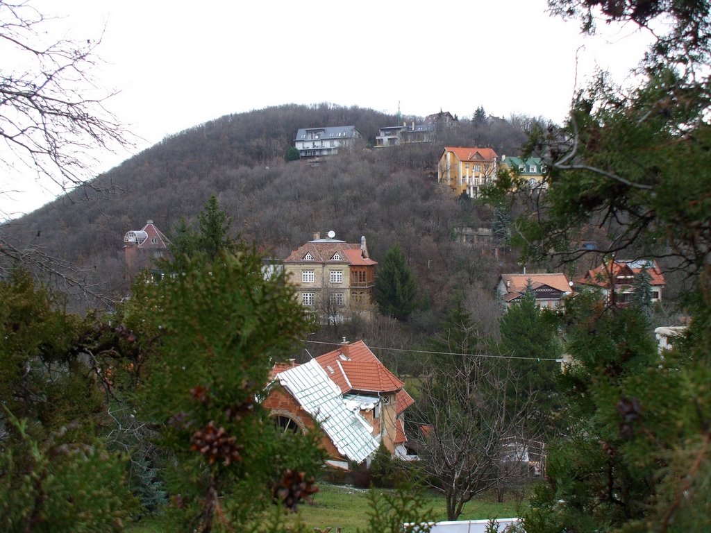 200912311239 Panoráma a Hunyadorom felé a Béla király útról by Kornél2009