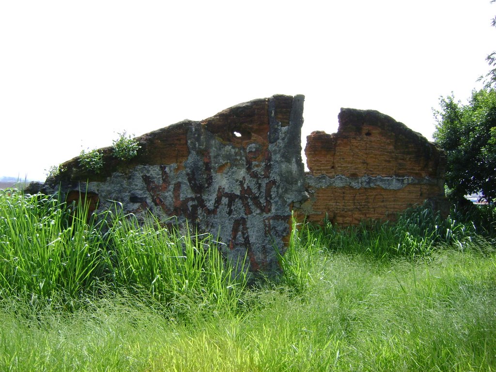 Ruínas do Sítio Mirim – São Paulo, 2009 by Daniel Souza Lima