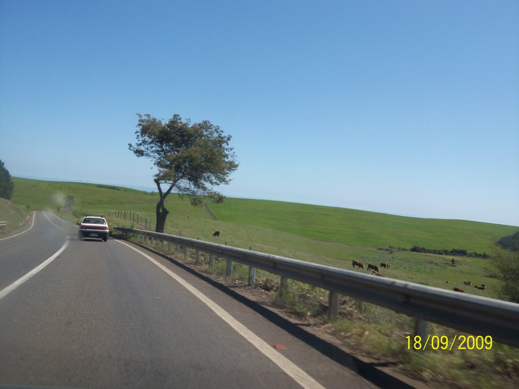 Autovía Cardenal Caro. Pichilemu VI Región by Ignacio Paredes