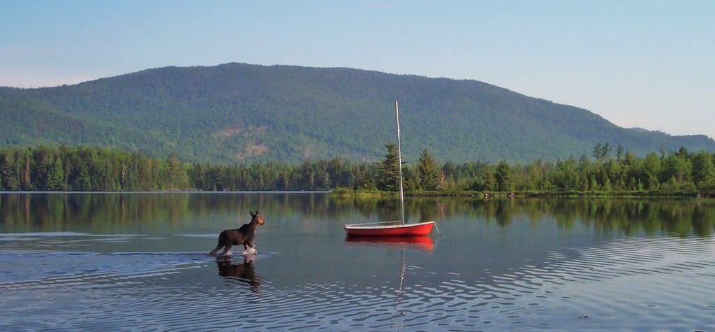 Black Mountain Over Akers Pond, Errol, New Hampshire by draws4430