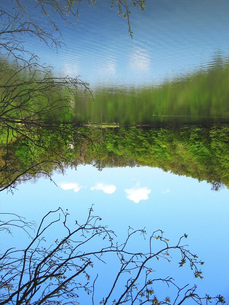 Maksimir lake by pike_TS