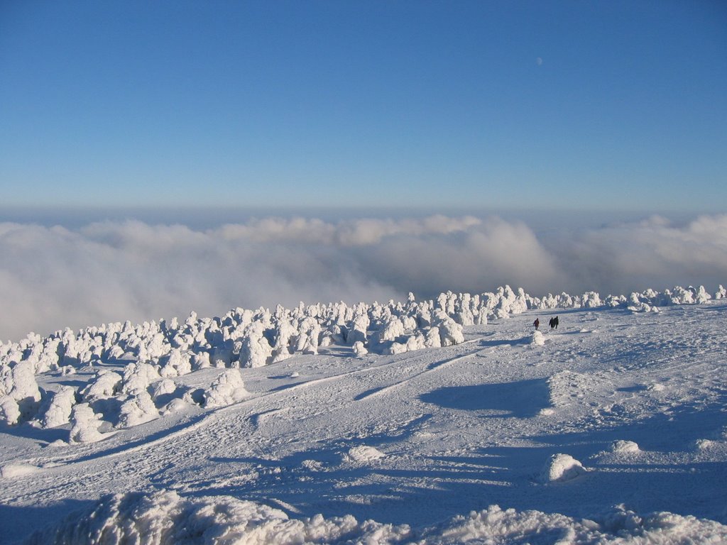 Der Brocken über den Wolken by th.gerlach81