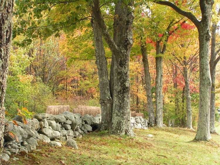 Entrance to Moore State Park, Paxton, Ma. by pguk