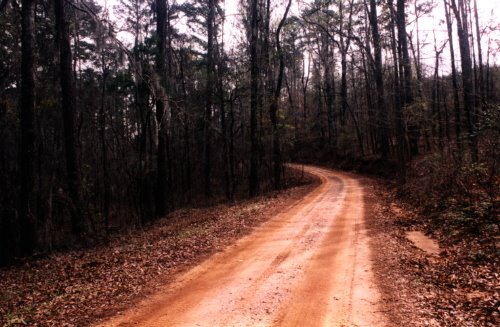 View along road (looking south) by Andrew Boutwell