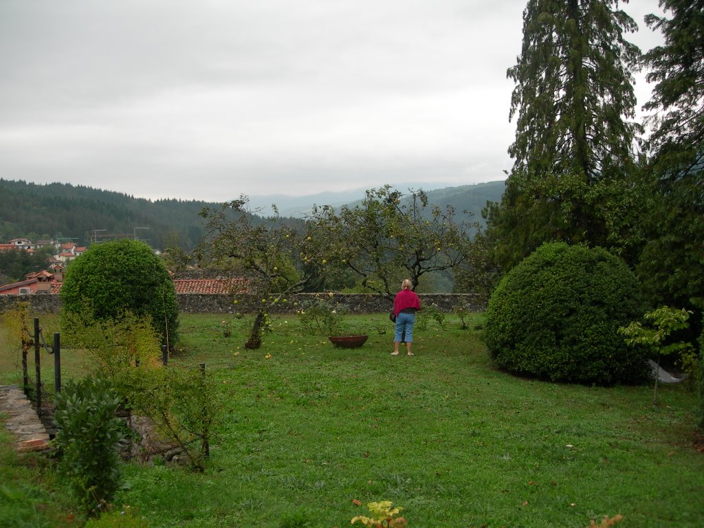 Camporgiano's garden of the medieval castle by randagino