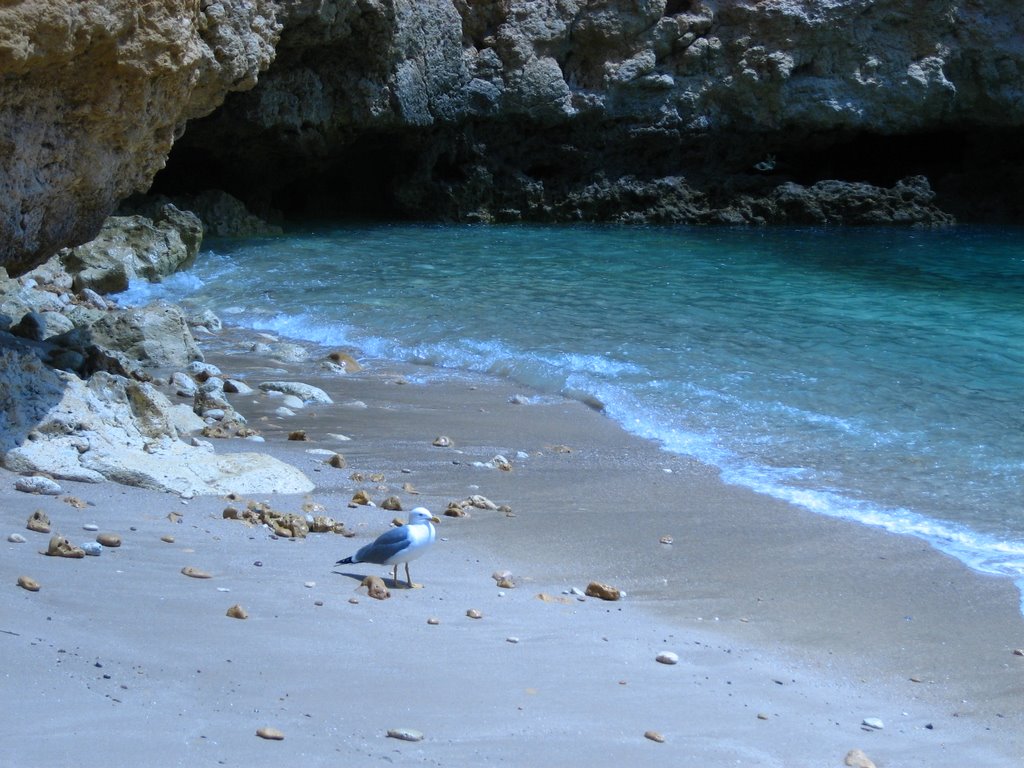 Lagos Playa Nudista. Buquin by buquin