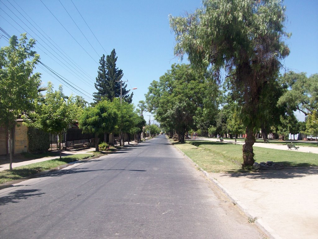 Calles desoladas. Buin Santiago by Ignacio Paredes