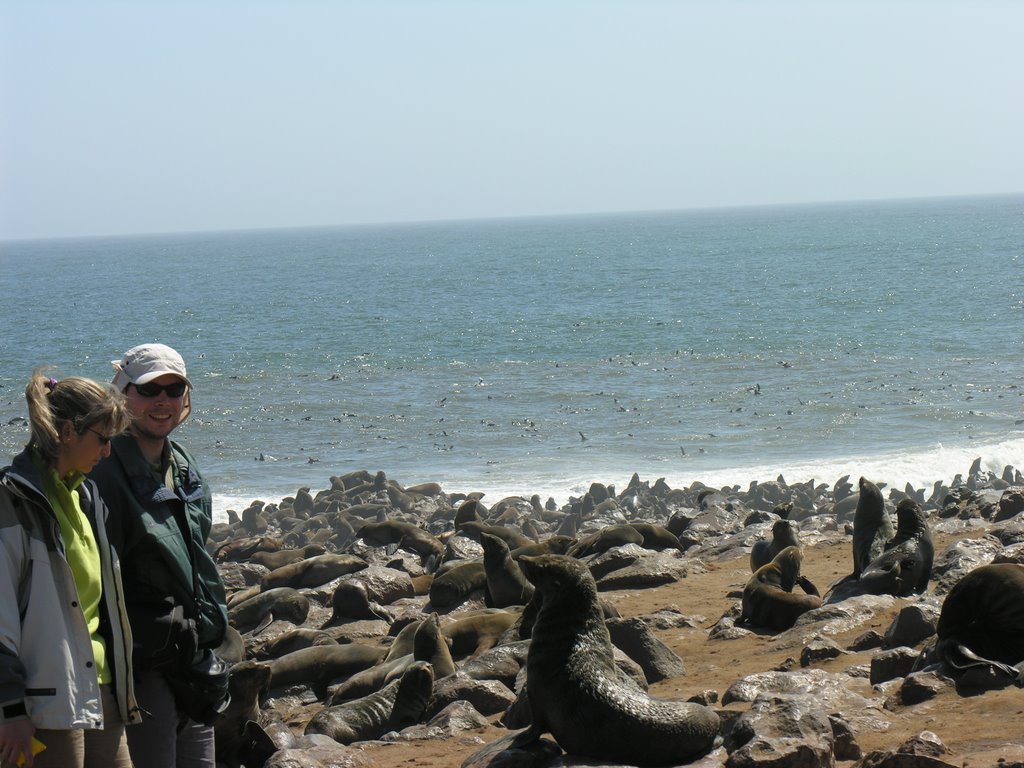 Seal Colony at Cape Cross by Nagy Andor