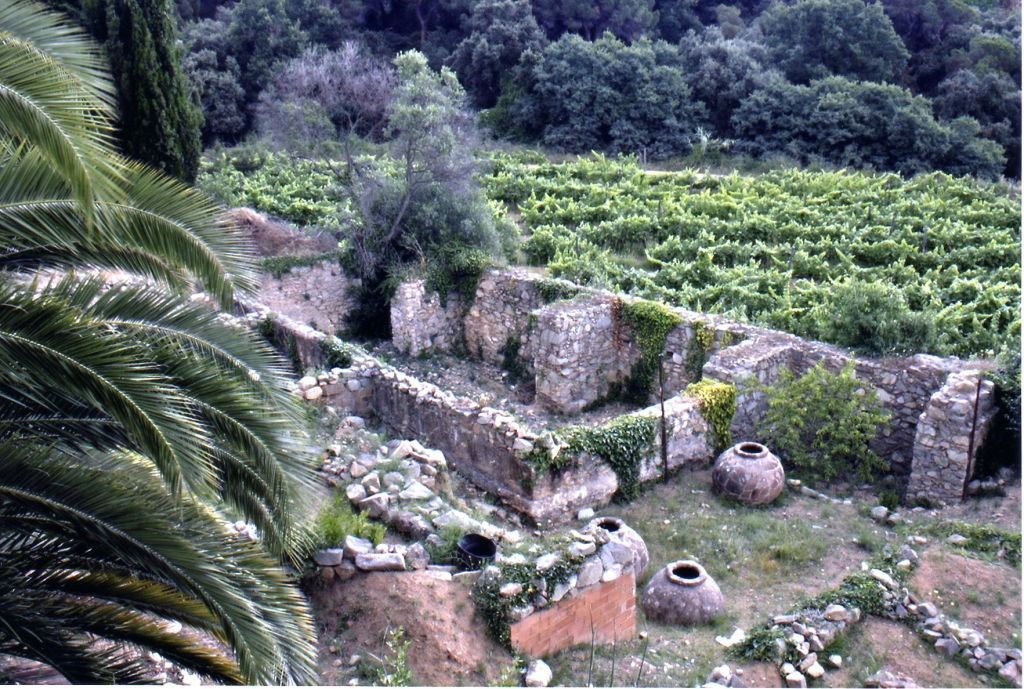 Ruinas Romanas Can Senroma 3 by MKCatCom