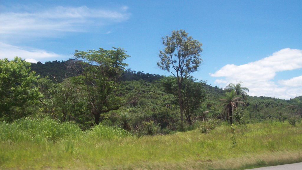 Á beira da "Rodovia da Morte" by Matheus castelar