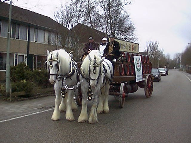 Bierpaarden shires by Tjeert.Mensinga ©