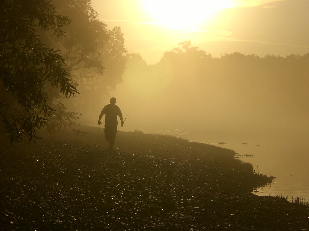 Morning sunshine in the fog by T.SWENSON