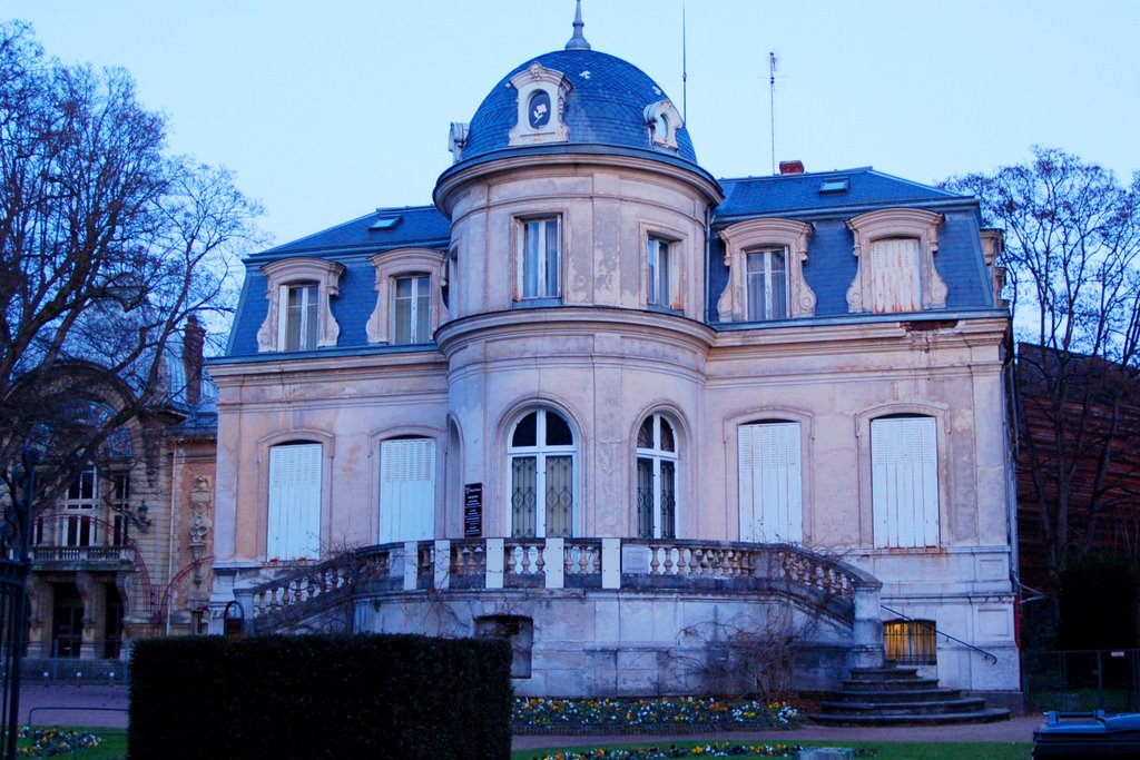 La bibliothèque municipale by fvexler