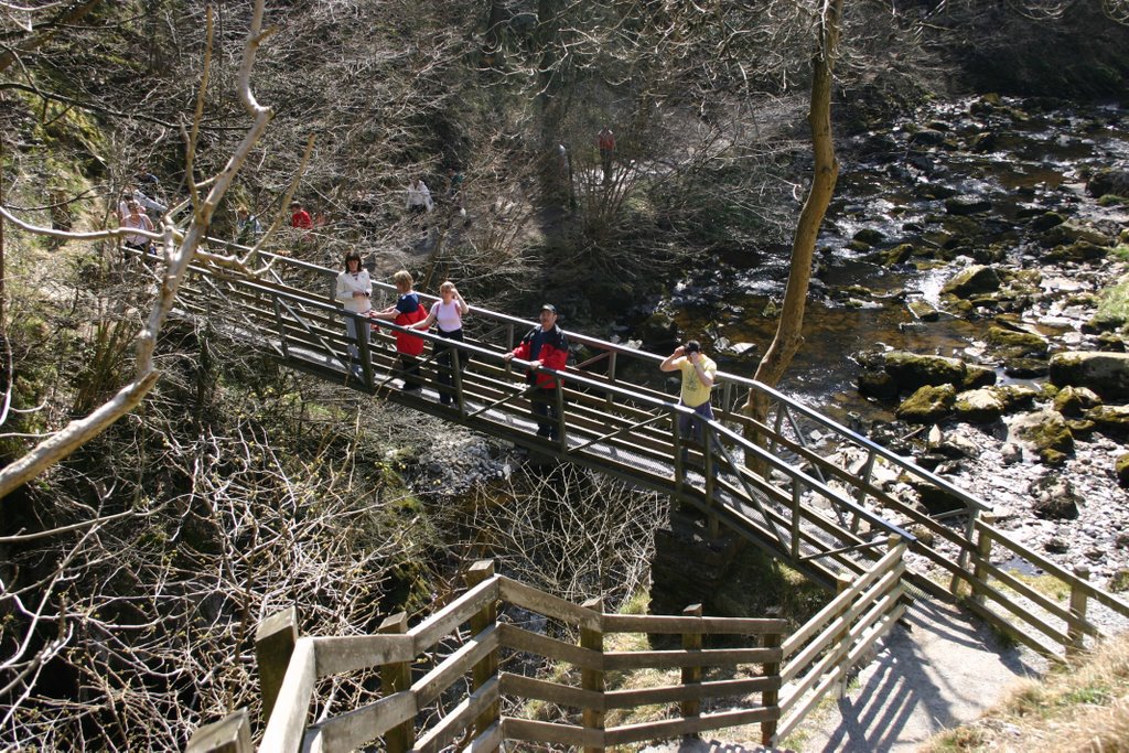 Waterfall Trail 06 (Pecca Bridge.) by John A Cook