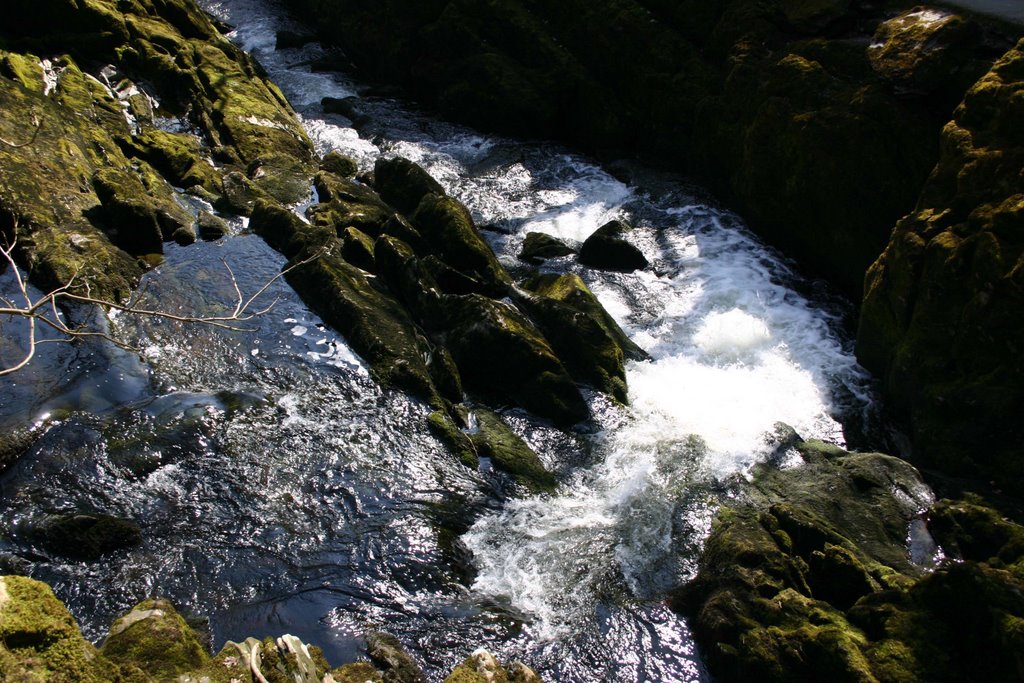 Waterfall Trail 13 ( Rival Falls, from above.) by John A Cook