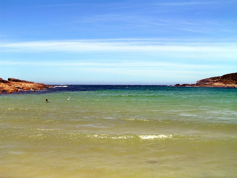 Beach in Boat Harbour, Port Stephens by David Bennell