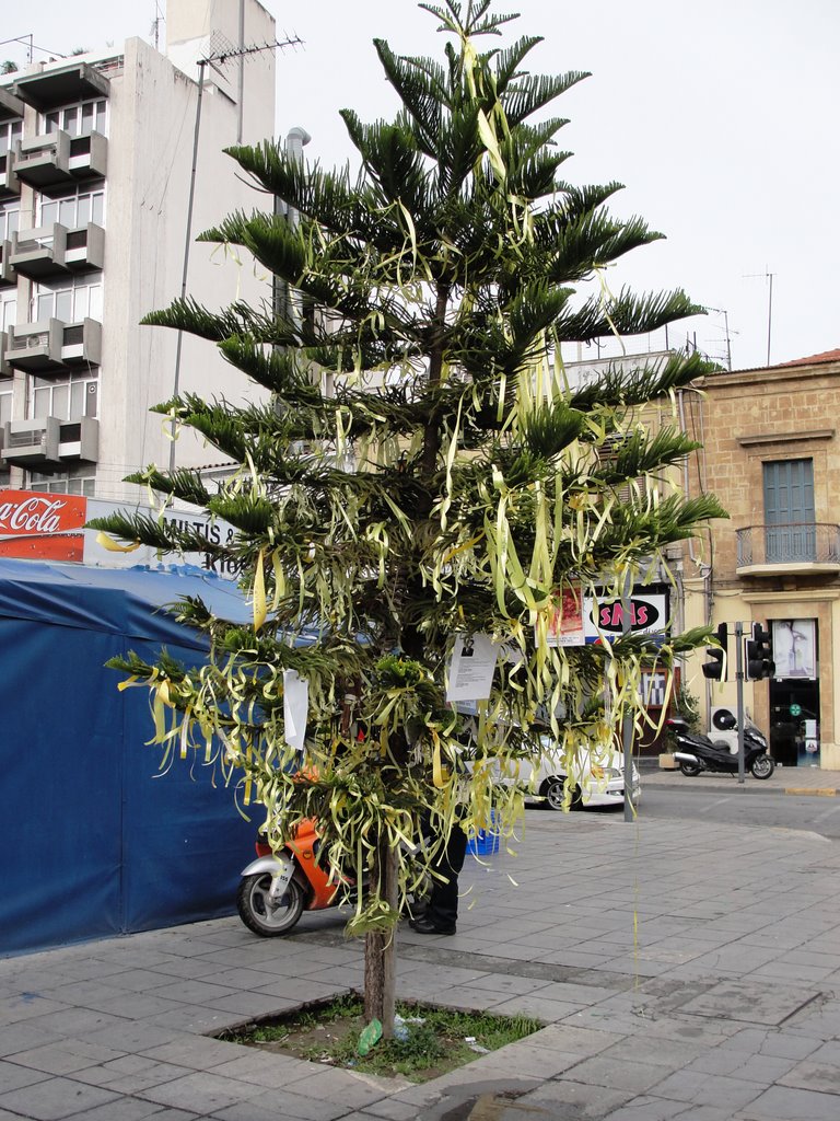 The Tree of the Missing, Nicosia. by G Lokey