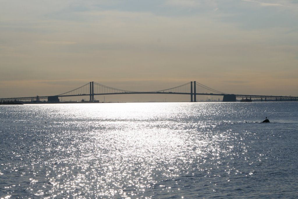 Delaware Memorial Bridge from Pennsgrove, NJ by JimInJersey