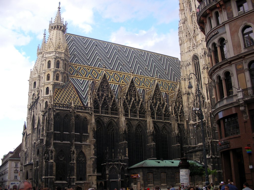 Stephansdom Wien by Klemens Waldhör