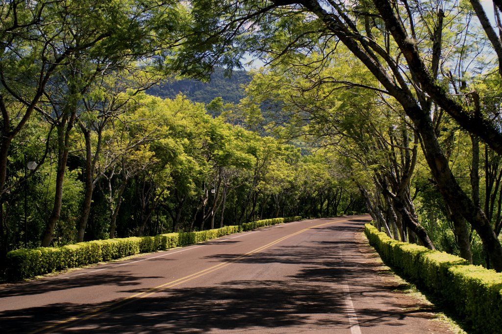 Caminho do aconchego by carlosmasetti