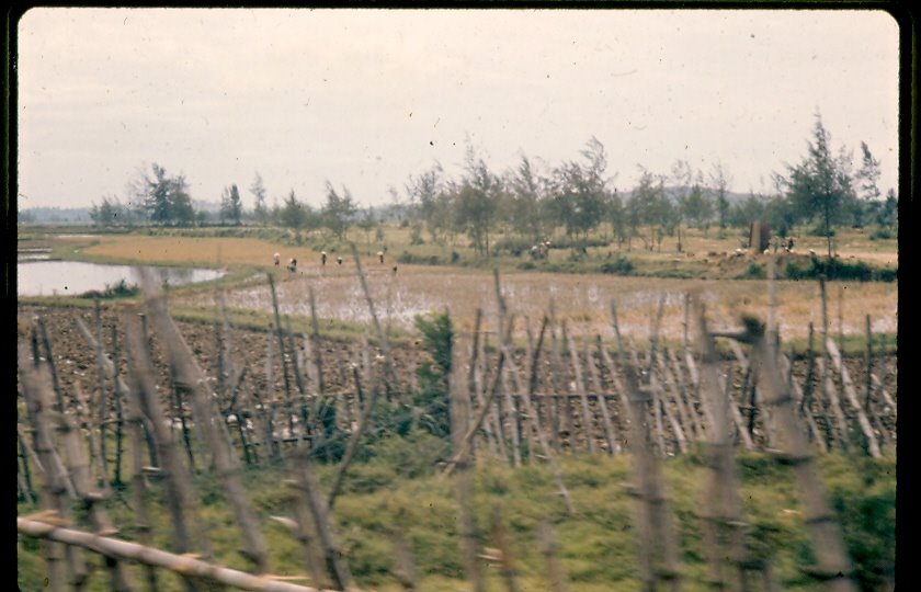 Mass grave at My Lai 1971 by vnvetlester