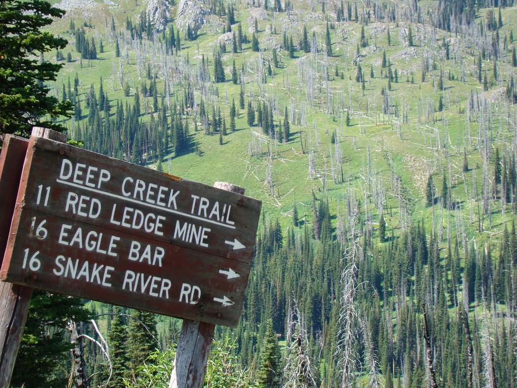 Deep Creek Trail by jbaren