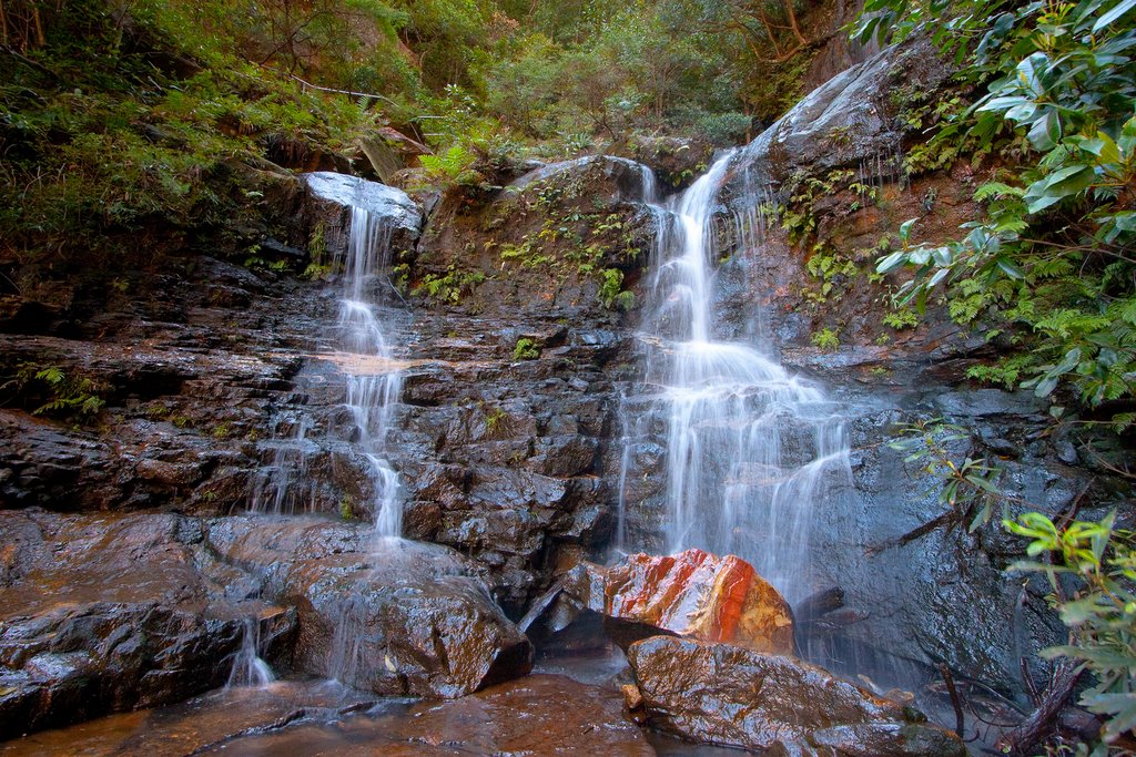 Edith Falls by Steve Bennett