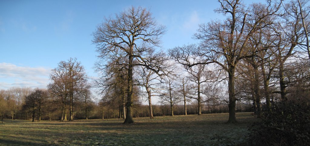 Dan O'Coys Road, Bishop's Stortford by alastairwallace