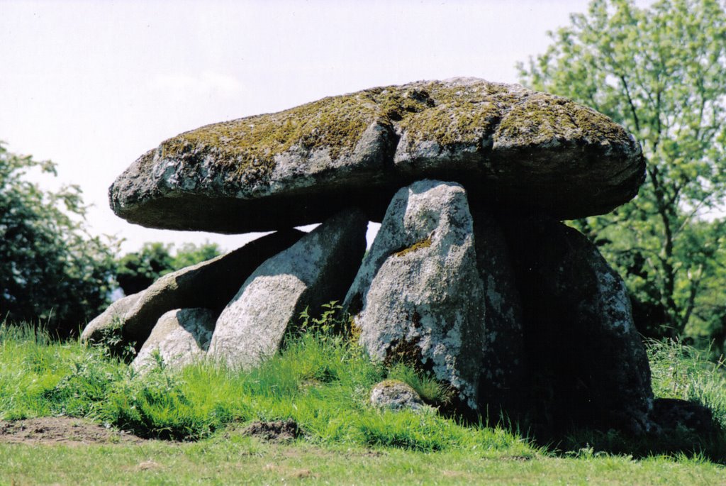 Haraldstown Dolmen by dougf