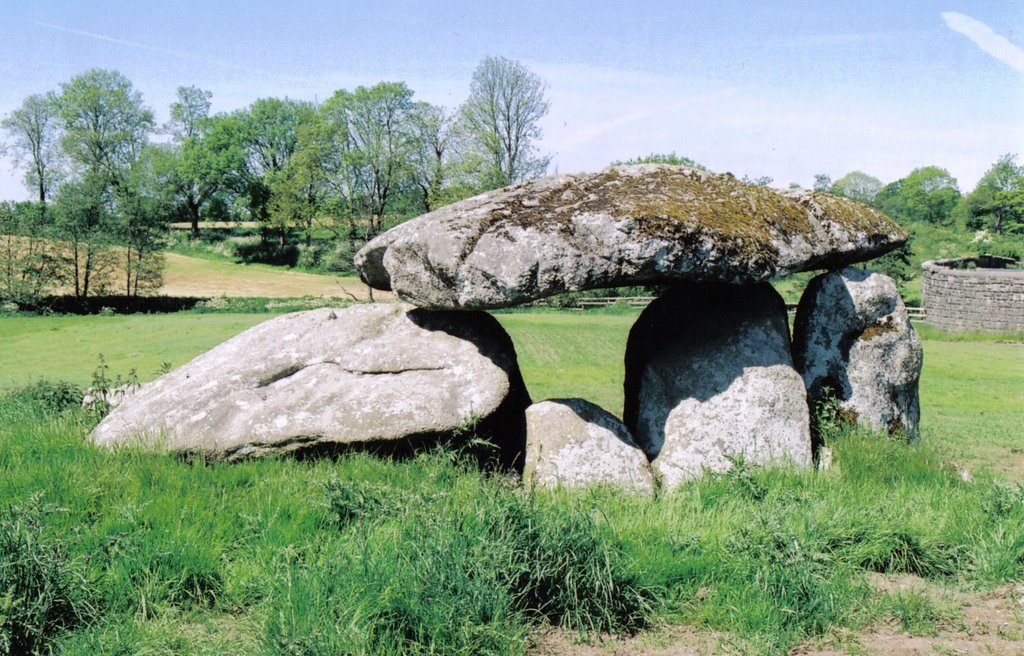 Haraldstown Dolmen by dougf