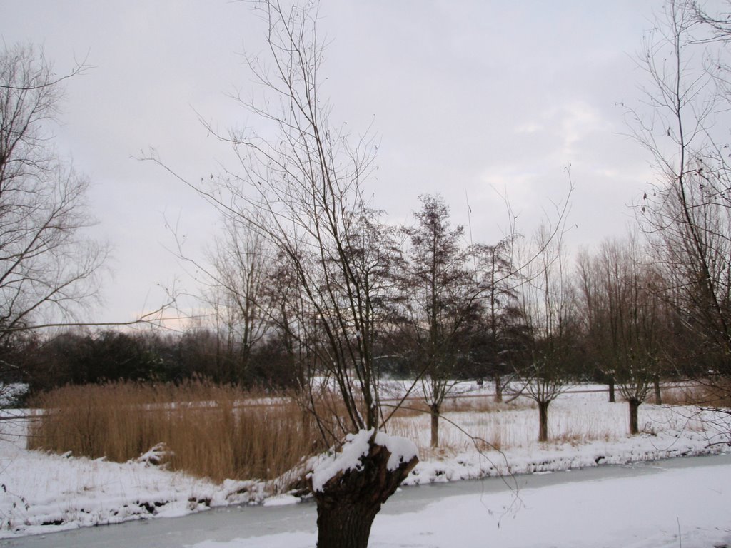 Snow in the park by agroenheide