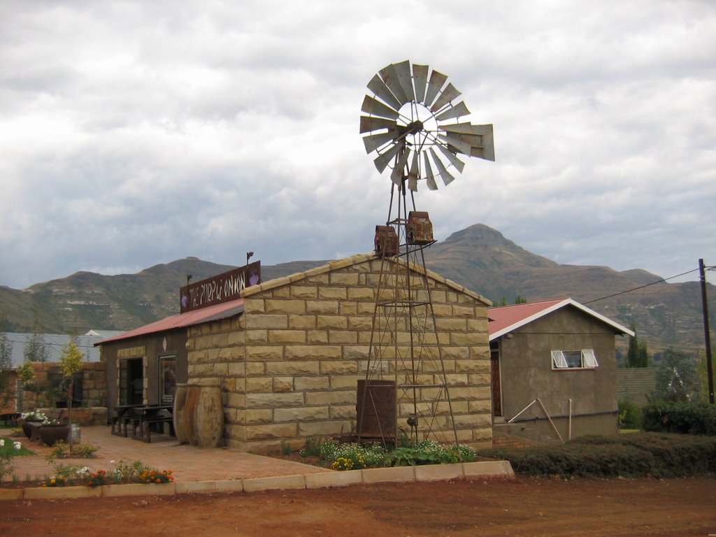 Clarens, Purple Onion by John A Forbes