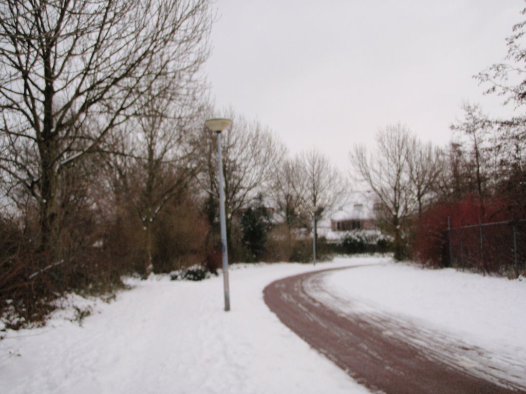 Cyclist road by agroenheide